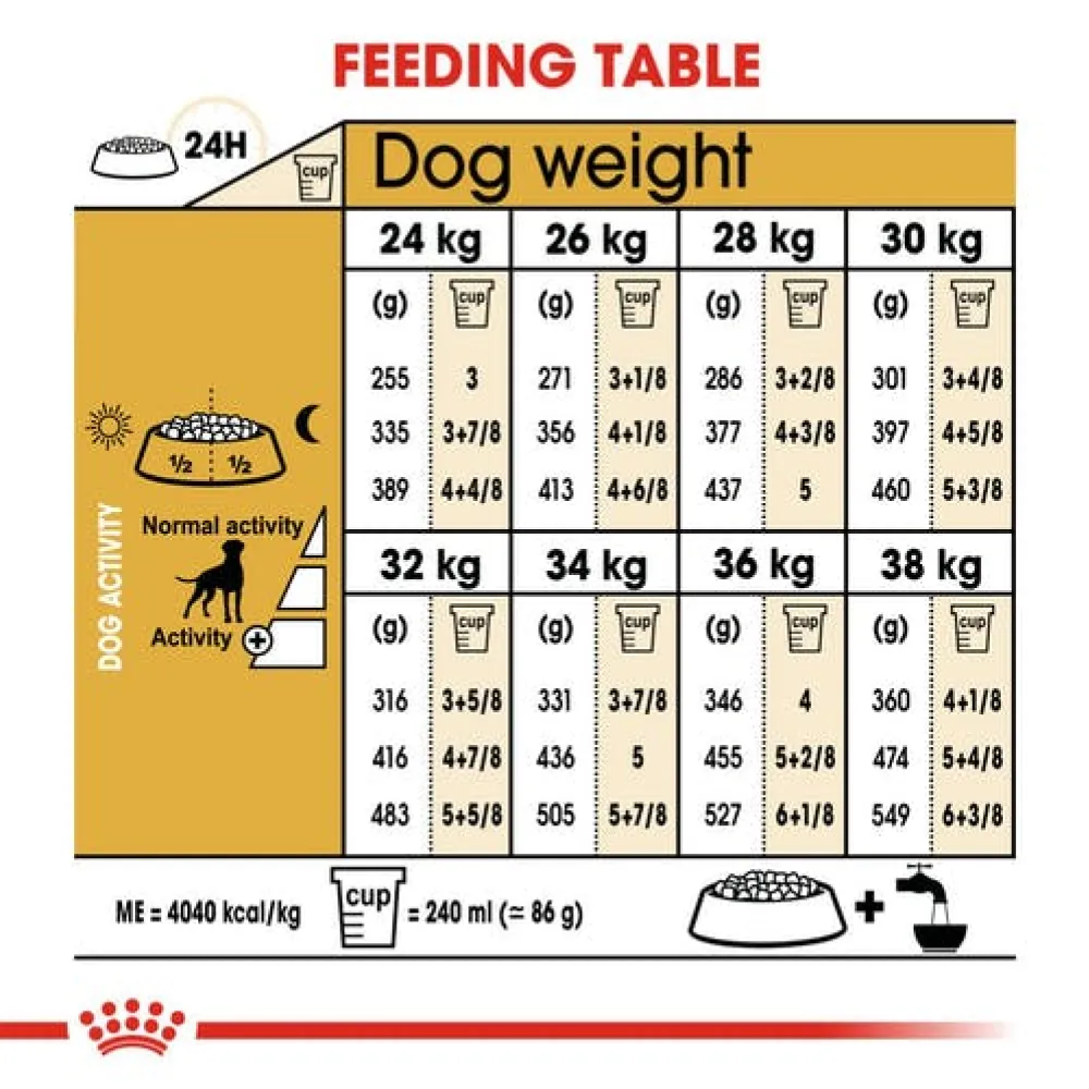 Royal Canin Boxer Dry Food and Maxi Adult Dog Wet Food Combo